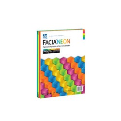 PAPEL NEON CARTA DE 75 GRS 5 COLORES PAQ DE 250 HOJAS FACIA 