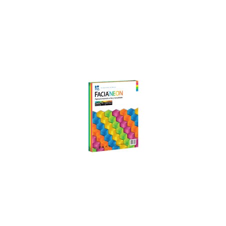 PAPEL NEON CARTA DE 75 GRS 5 COLORES PAQ DE 250 HOJAS FACIA 