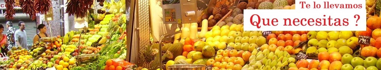 Te llevamos lo que necesites 